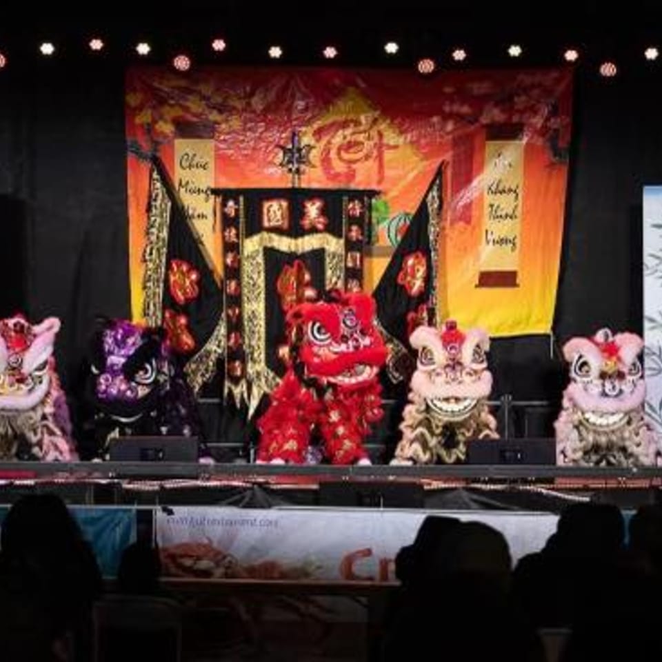 Five colorful lion dance costumes on a stage with a red and gold backdrop, viewed from the audience.